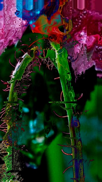 Digital abstraction of organic structures created in TouchDesigner, blending botanical memory and evolving rhythms