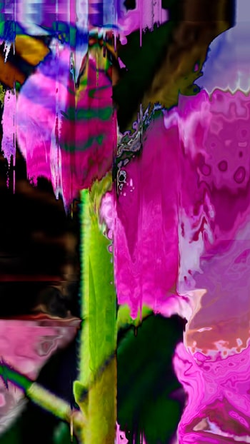 TouchDesigner floral surface with pulsing colors and vibrating digital textures inspired by vegetal life