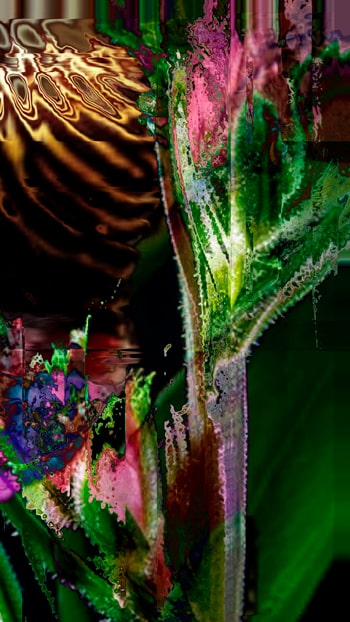 Generative TouchDesigner image of a flower transformed into flowing digital signal patterns