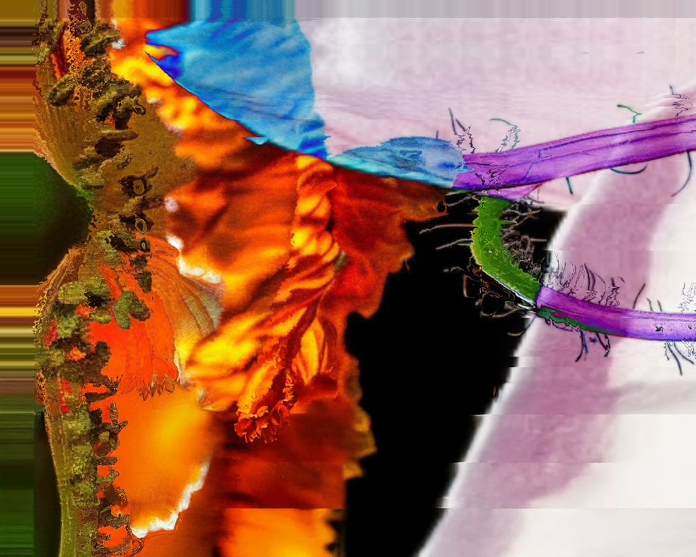 Fetching Blooms TouchDesigner video collage with floral frames glitching through insect-like perception and vegetal life vibrations