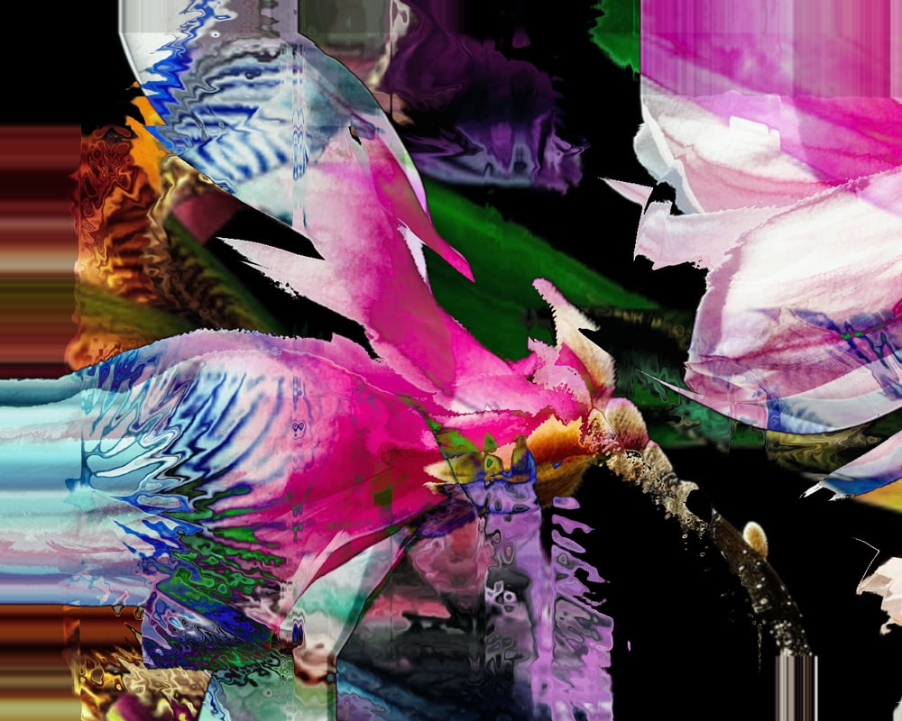 Fetching Blooms TouchDesigner video collage where petals overlap, glitch and echo the deeper rhythms of vegetal life
