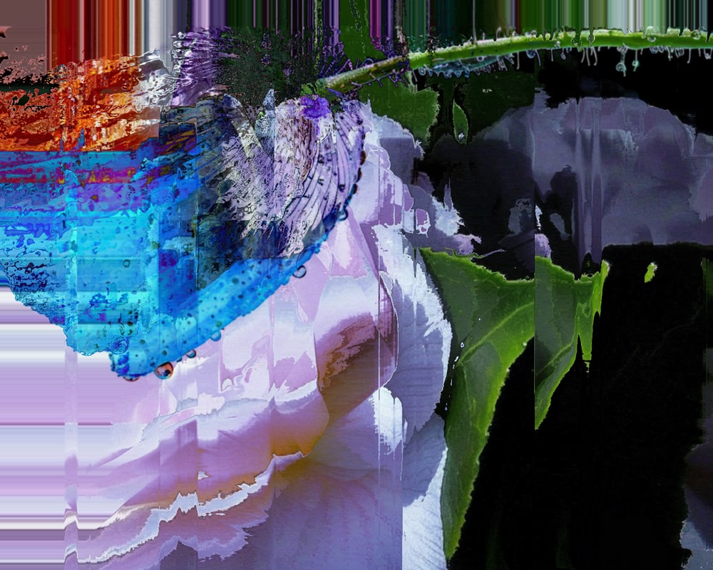 Fetching Blooms TouchDesigner video collage capturing micro–macro floral motion shaped by vegetal life pulses