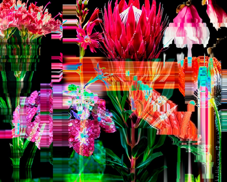 Shifting Garden TouchDesigner flower collage featuring scanned flowers and layered digital composition