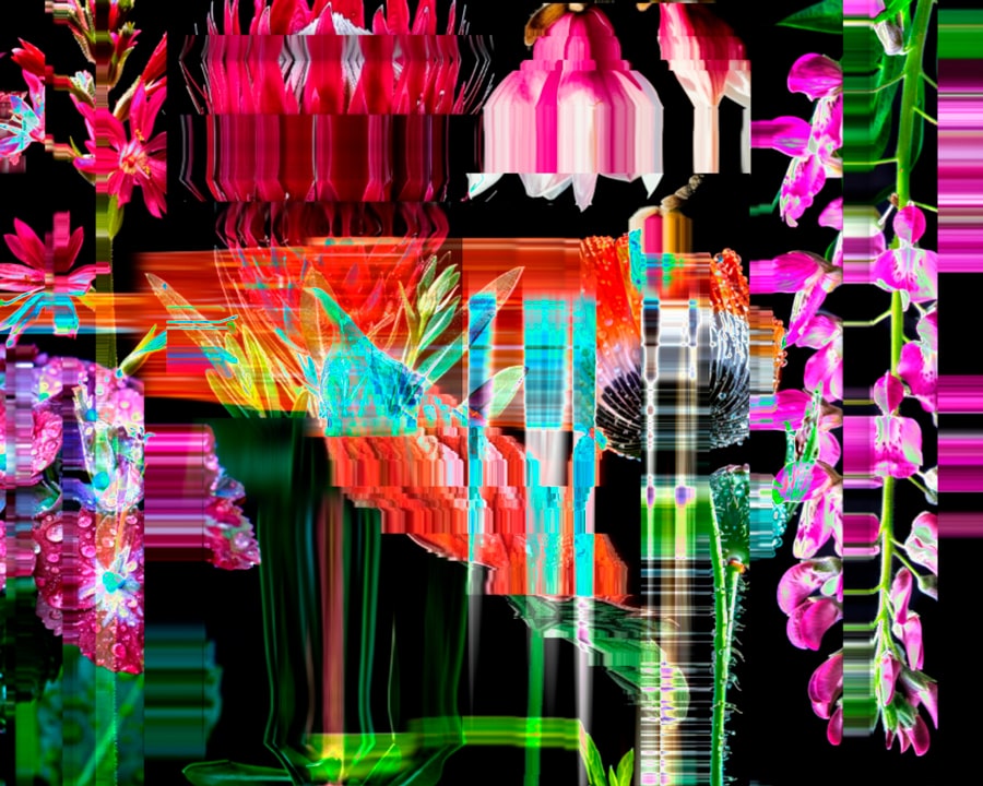 Scanned flower composition from Shifting Garden using TouchDesigner to create a digital floral collage