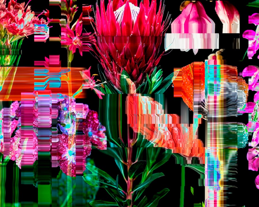 TouchDesigner flower collage from the Shifting Garden project, created from scanned organic flowers with a digital scanner effect