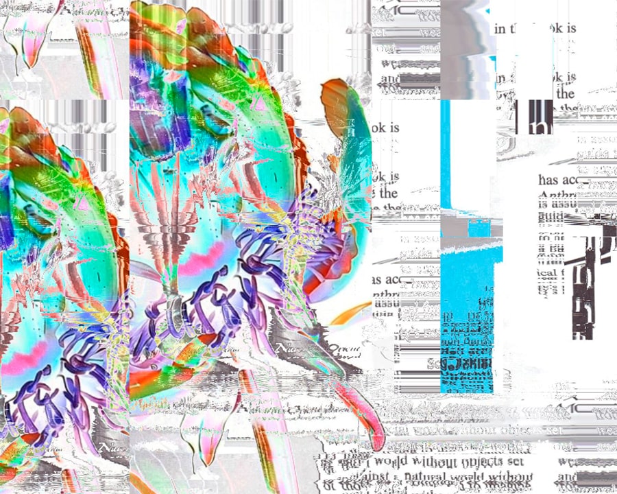 TouchDesigner garden archive collage blending organic movements with digital strata captured through blob tracking