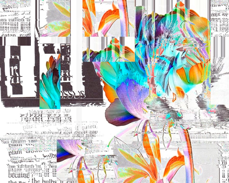 Colorful organic flower glitched and distorted with TouchDesigner over black-and-white newspaper textures