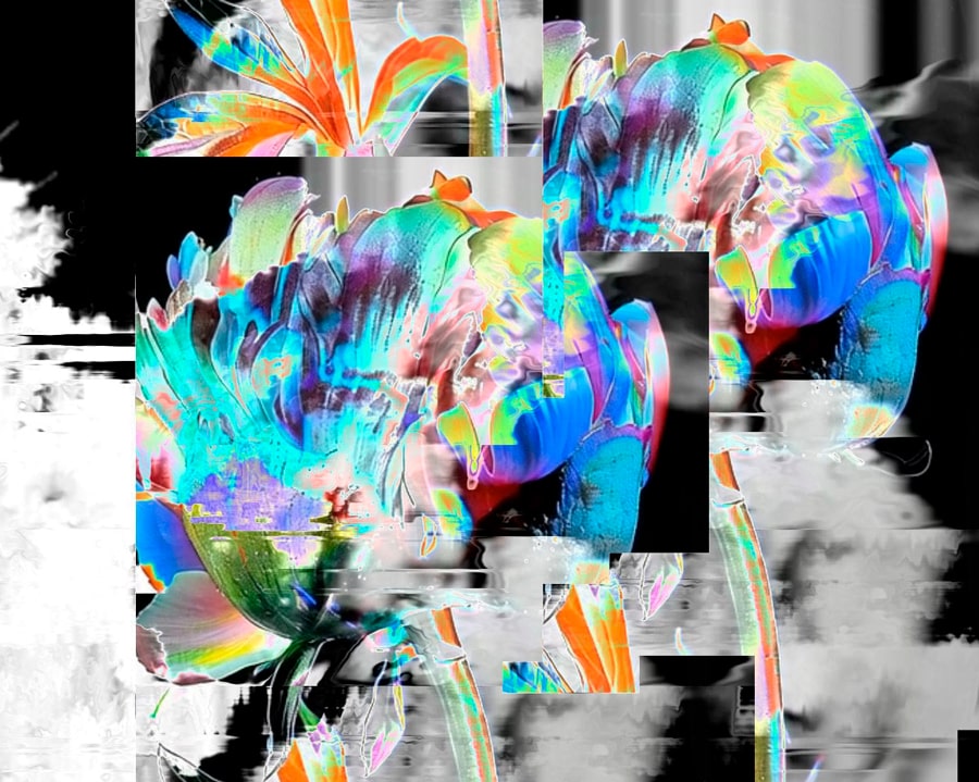 TouchDesigner garden archive collage integrating scanned floral fragments with blob-tracked movement to reveal evolving identities