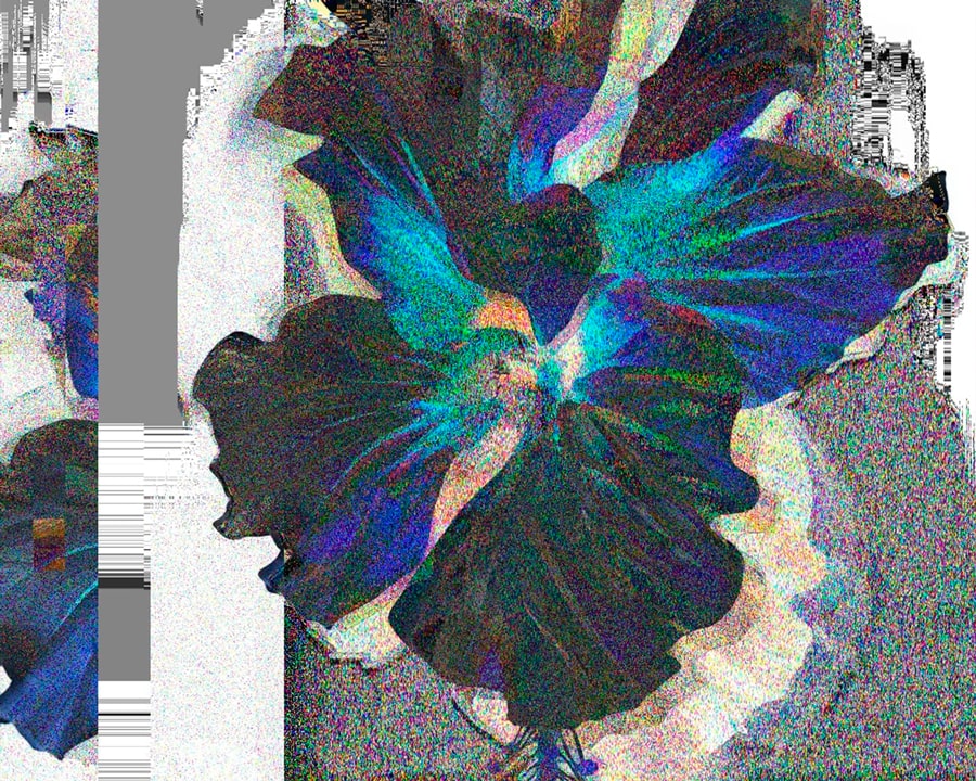 glitch bloom, flower reshaped by an audio‑reactive digital signal in Nature signal.