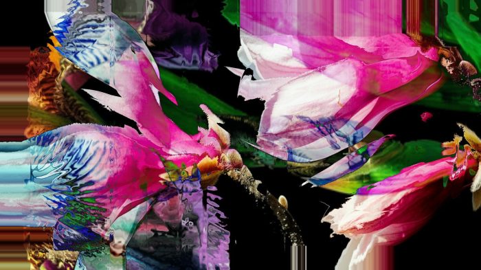 Fetching Blooms TouchDesigner video collage where petals overlap, glitch and echo the deeper rhythms of vegetal life
