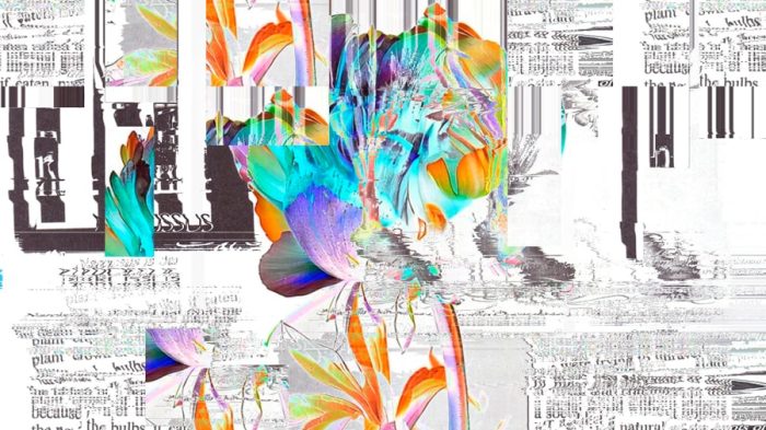 Colorful distorted flower glitched with TouchDesigner over black-and-white newspaper textures